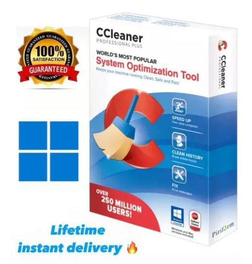 CCleaner Professional 2024 Version Installable